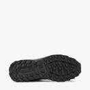 Apex 3 Low GTX BOA(Black)